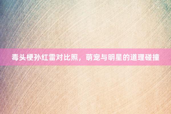 毒头梗孙红雷对比照，萌宠与明星的道理碰撞